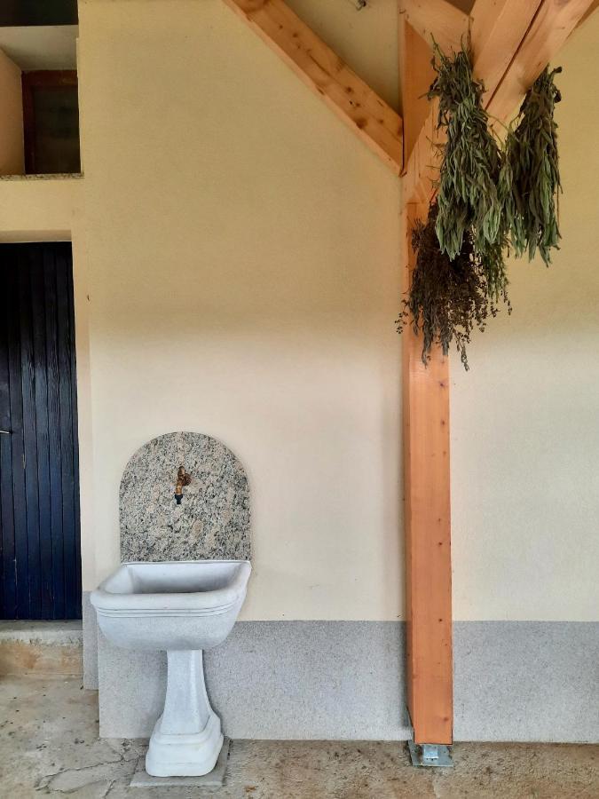 Vineyard Cottage Kulovec Ursna Sela Dış mekan fotoğraf