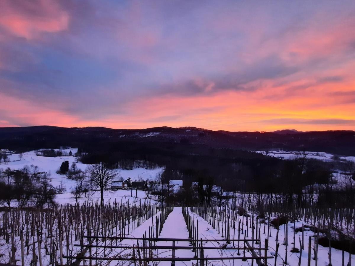 Vineyard Cottage Kulovec Ursna Sela Dış mekan fotoğraf