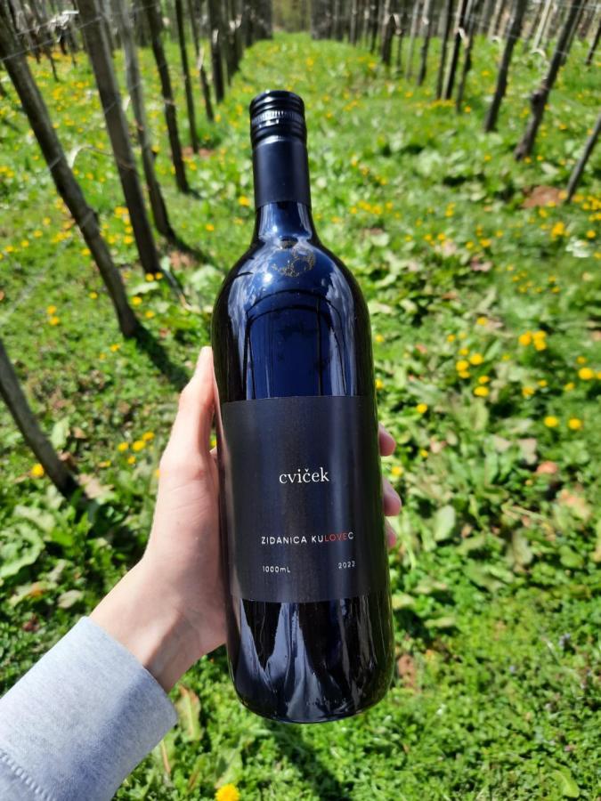 Vineyard Cottage Kulovec Ursna Sela Dış mekan fotoğraf